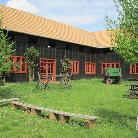Nyirfaliget Lovaskemping Es Turistahaz Hotel Mestecǎneşti Exterior foto