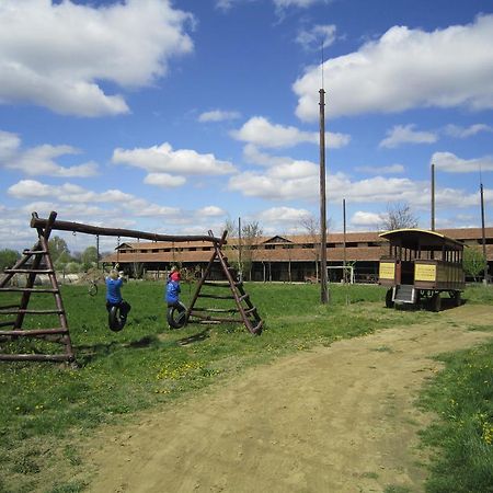 Nyirfaliget Lovaskemping Es Turistahaz Hotel Mestecǎneşti Exterior foto