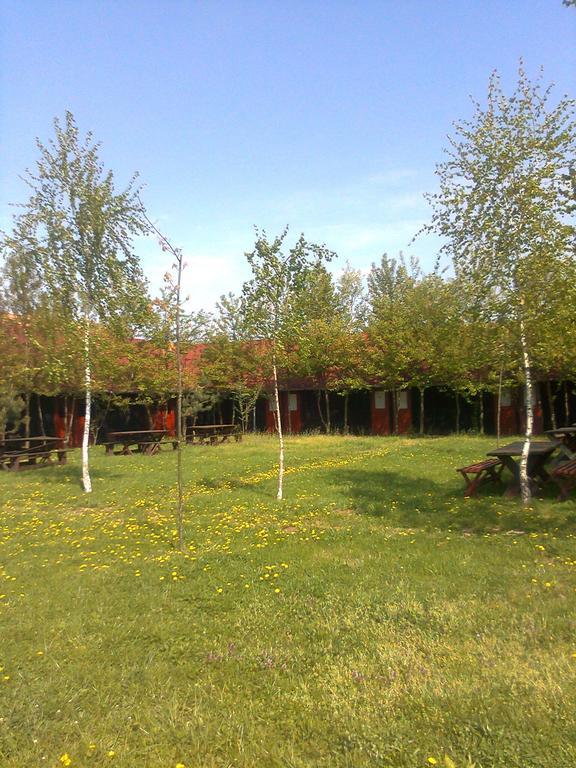 Nyirfaliget Lovaskemping Es Turistahaz Hotel Mestecǎneşti Exterior foto