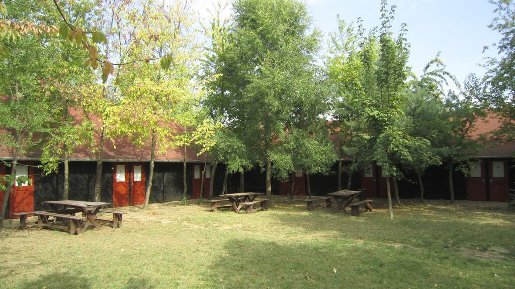 Nyirfaliget Lovaskemping Es Turistahaz Hotel Mestecǎneşti Exterior foto